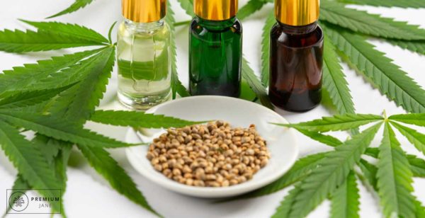 10 Hemp Facts Everyone Should Know