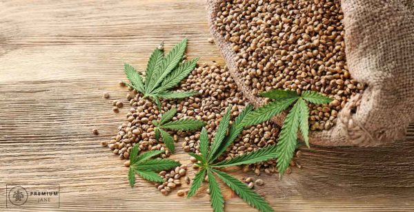 Why Is Hemp Seed Good for You?